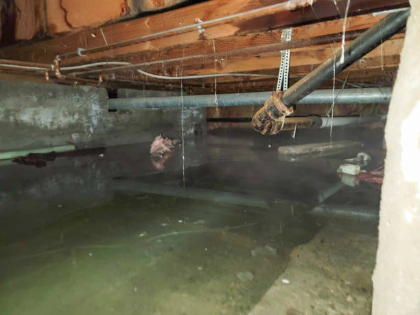 Best Flooded house restoration  in South Whitley, IN