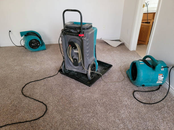 Best Water damage cleanup near me  in South Whitley, IN