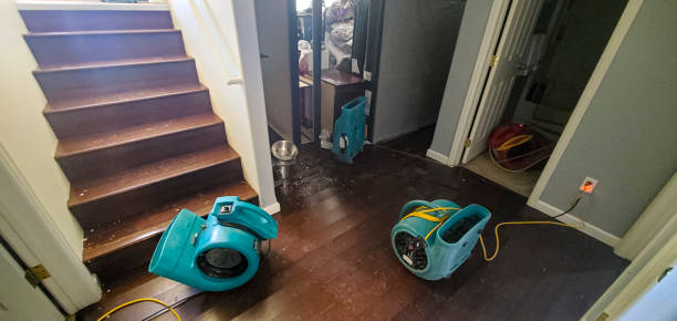 Best Emergency water damage restoration  in South Whitley, IN