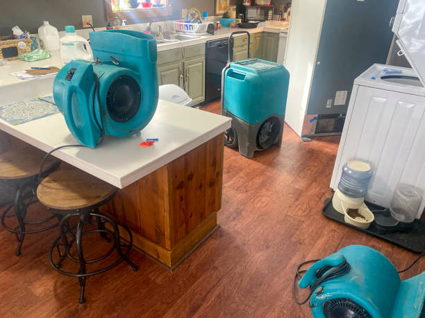Best Mold removal after water damage  in South Whitley, IN
