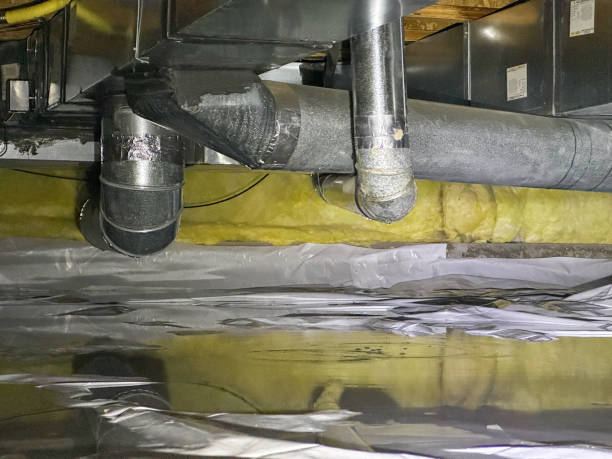 Best Ceiling water damage repair  in South Whitley, IN