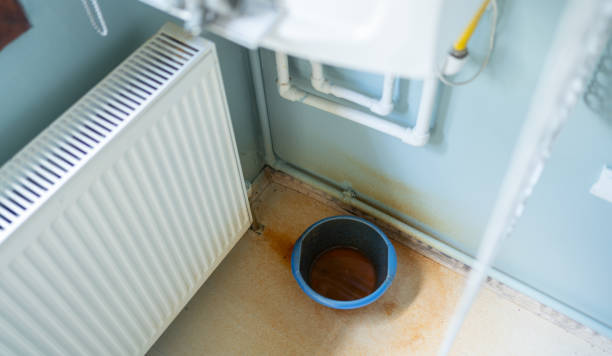 Best Flood damage cleanup  in South Whitley, IN