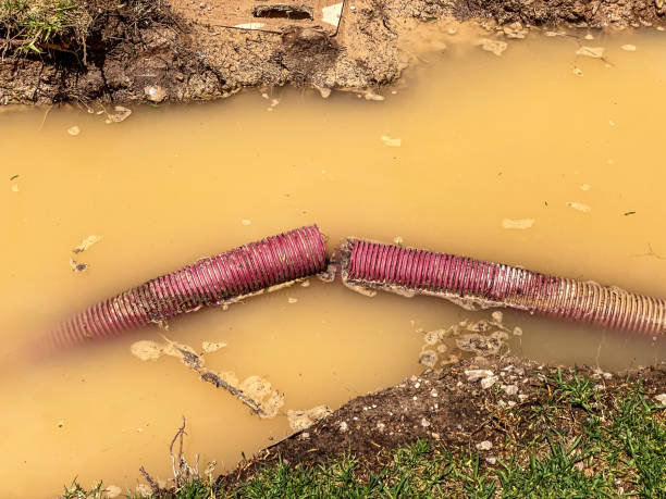 Best Water damage restoration near me  in South Whitley, IN