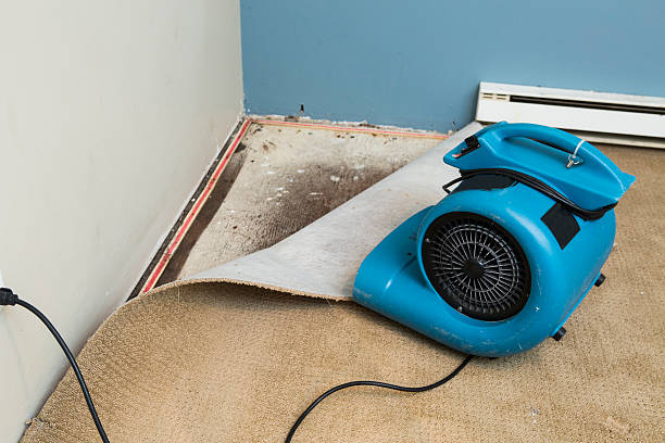 Best Water damage restoration near me  in South Whitley, IN