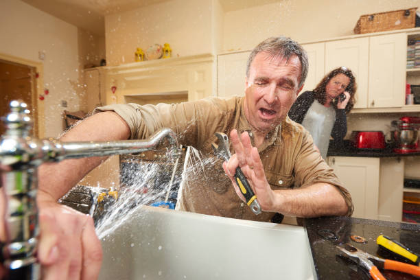 Best Ceiling water damage repair  in South Whitley, IN